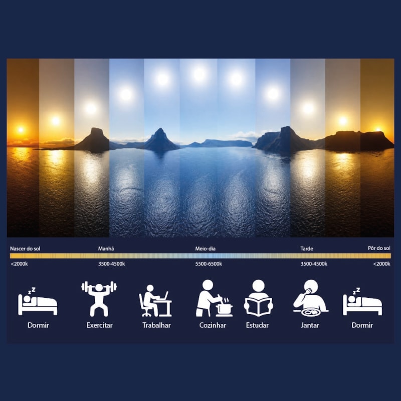 image_f071122e-41e1-4ee9-9b9c-b19a0ef6cbb8