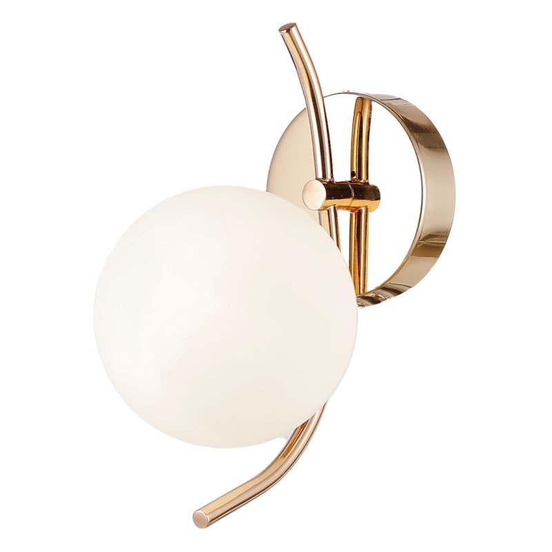 image_1285d23a-69a1-482d-955f-1535f65ad230