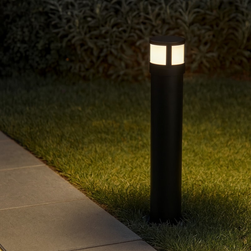 image_b62ed507-be85-4002-939d-481507c392f6