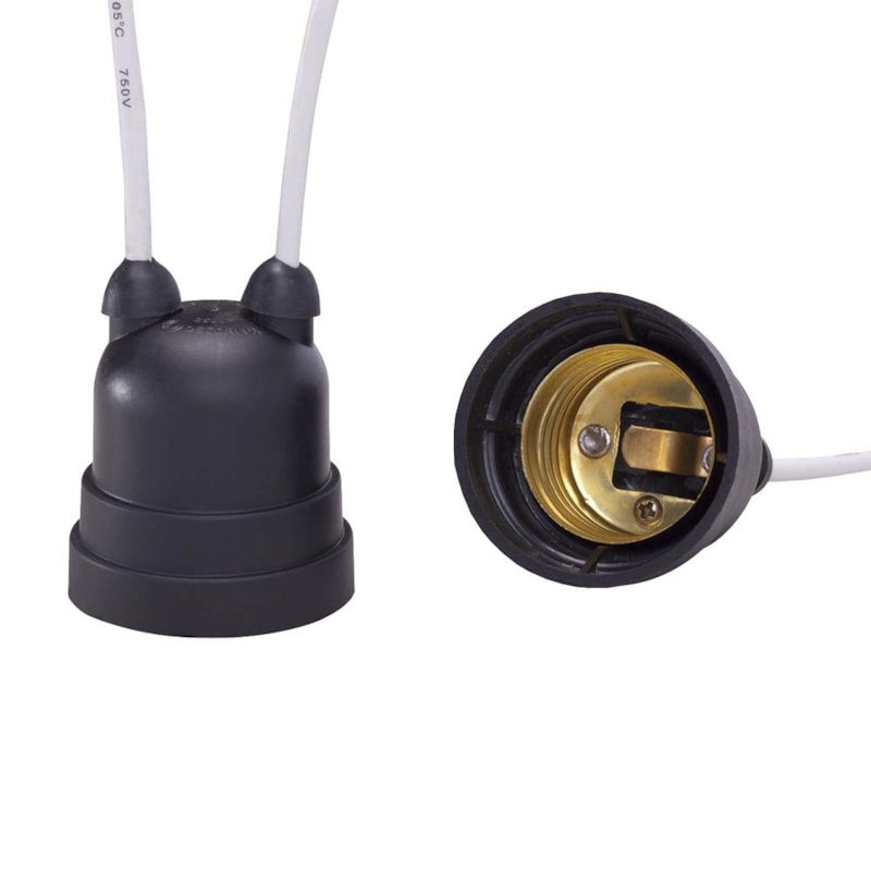 image_ed1c37f3-5e1a-46ae-8d34-7ec5ef593902