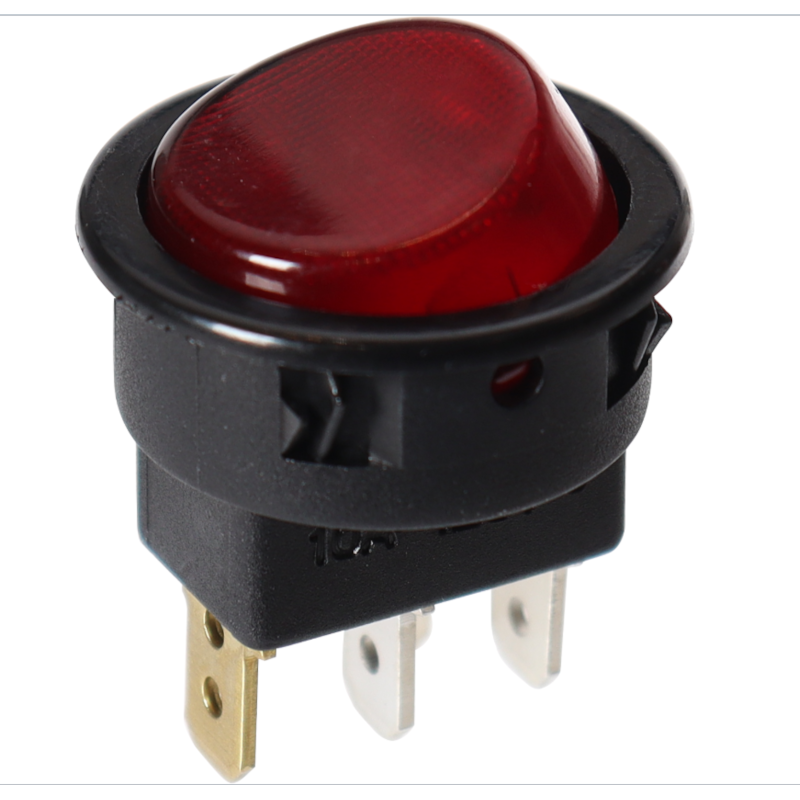 image_efe85648-d83d-4e16-a3ca-73cf5aaf1614