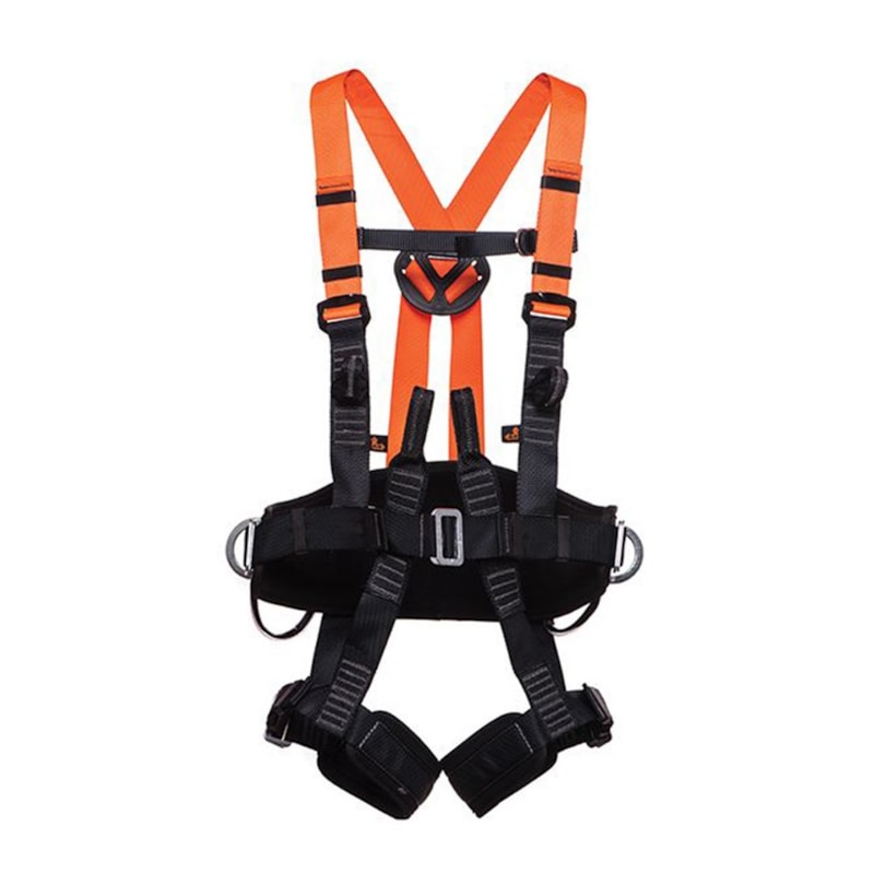 image_cee5b44e-f993-4d23-a47f-7e541e38863c