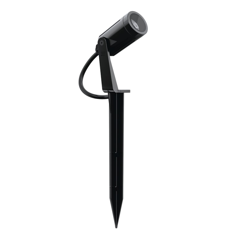 image_421a9368-a759-4ecd-a2c2-1e5c18e40018