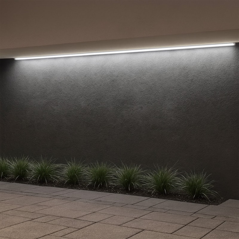 image_efc78d80-4408-4d32-a882-0864ddd94fab