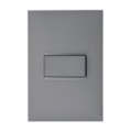 Interruptor Plus+ 1 Tecla Simples Cinza Pial