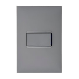Interruptor Plus+ 1 Tecla Simples Cinza Pial