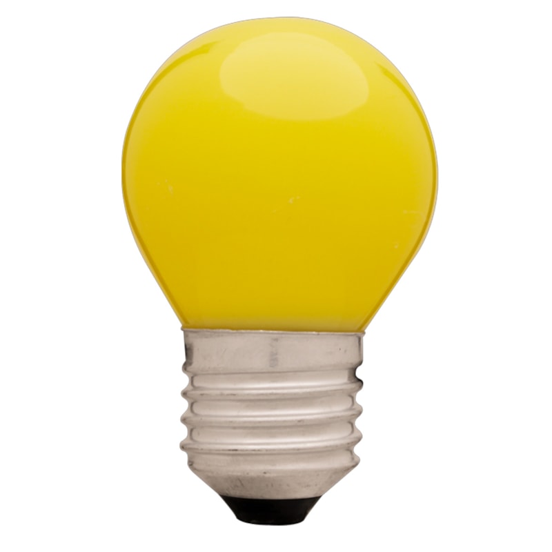 image_4fd3e16d-5c66-46f4-be04-365cb6a53c2b