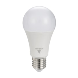 Lâmpada Led Bulbo 12W Rgb Smart Smarteck Steck