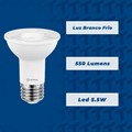 Lâmpada LED PAR20 5.5W Branco Frio 6500K 550lm Bivolt Ledvance