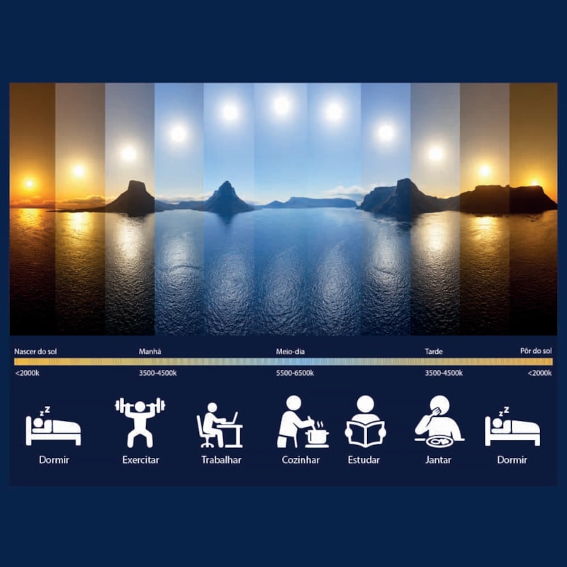 image_23e61e62-69b0-429b-af02-7cc98579e32b