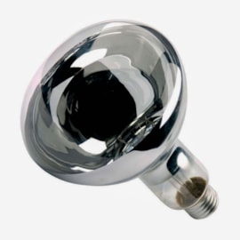 Lâmpada Secagem 250W 2700K 127V Eletrorastro