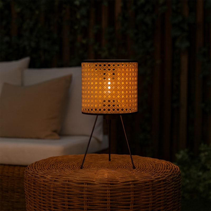 image_3951948a-5e50-45b8-a577-40c47183b0ae