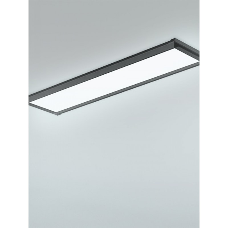 image_488af05e-fed0-4bec-afaf-817a1ad944a0