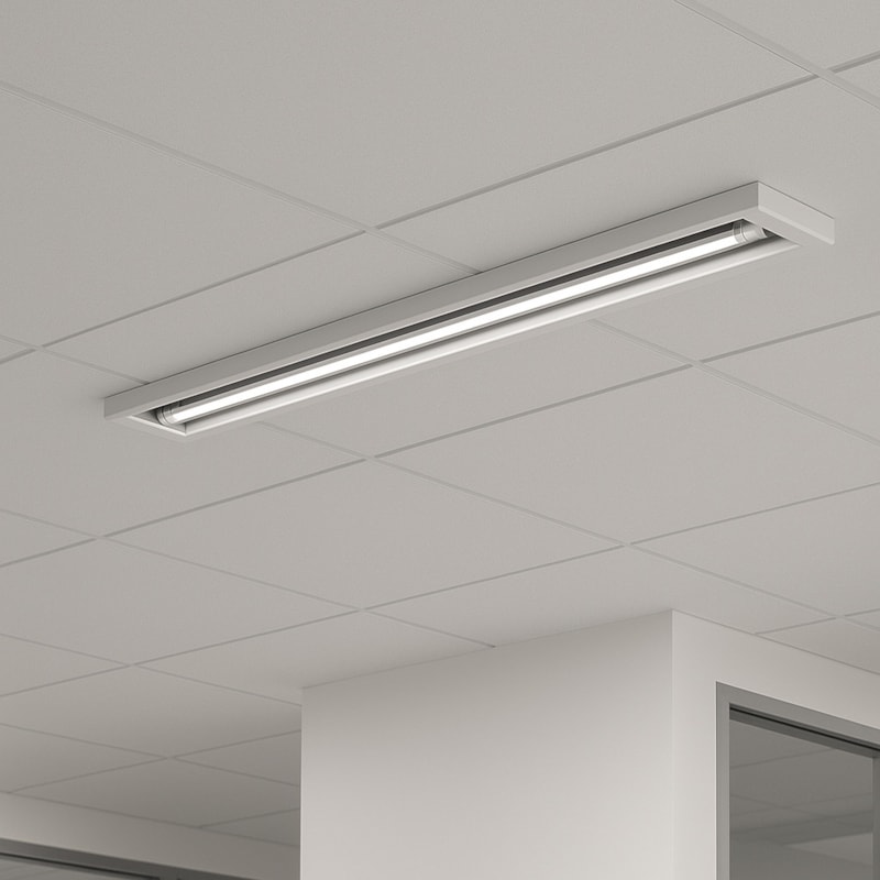 image_334281cd-5416-4438-9f10-9f43a7c12110