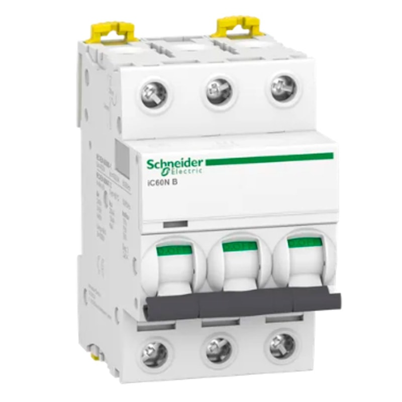 image_050a36b4-50c8-4ed2-b049-9d731189b5fa