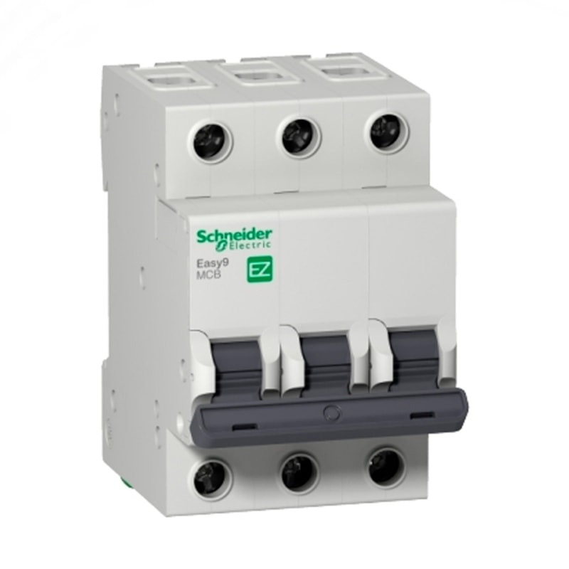 image_b214677d-be94-44e7-8852-5ff252c5613d