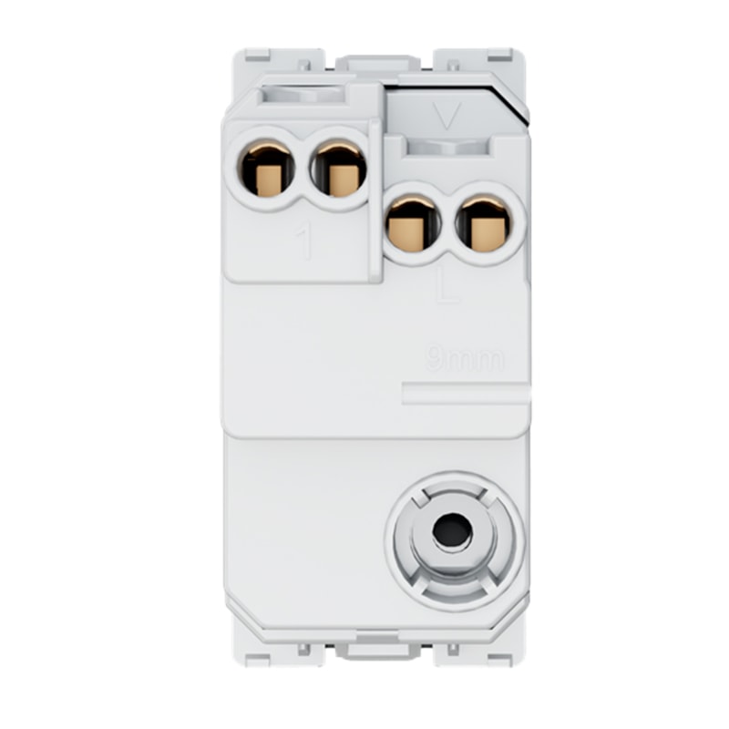 image_d95620a0-d7a1-4408-ba76-714b6b328955