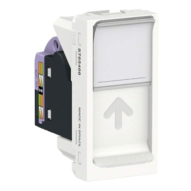 image_099e6617-4674-45b8-9844-9449192ba878