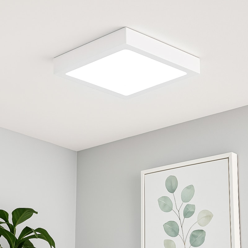 image_0cba7e2a-c8b5-445d-9aee-200c737253fe