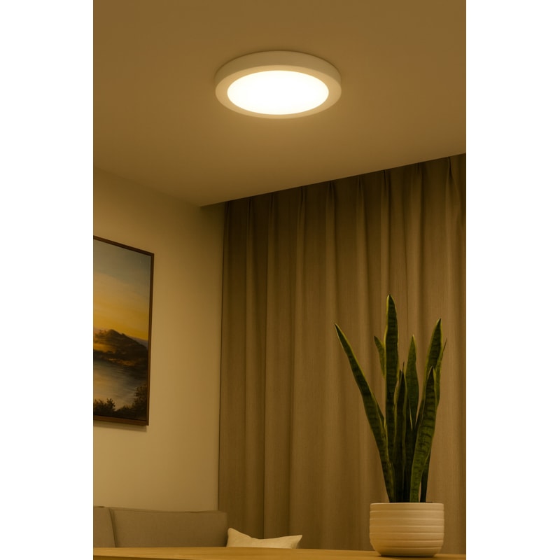 image_fcc431d3-b347-44ef-b611-6aa908c2cceb