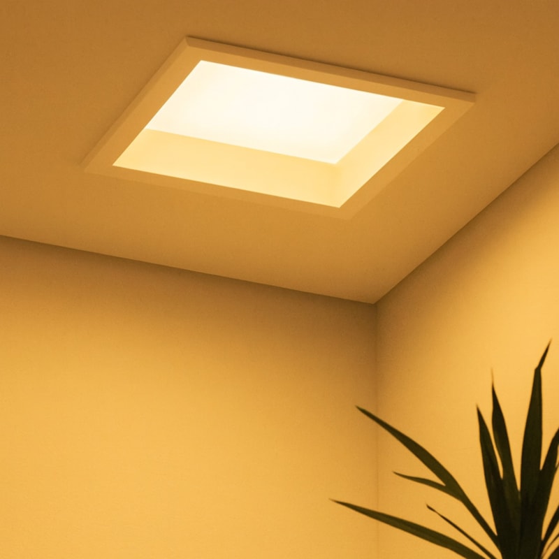 image_abab06c8-7dc1-4eb9-8db5-11011287829b