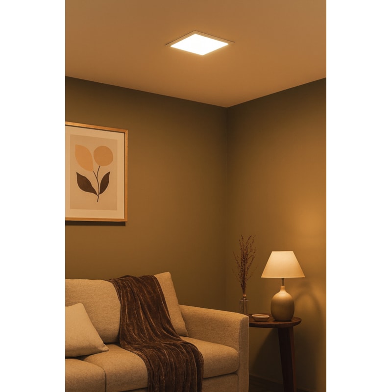 image_8cebac72-2c3c-4e20-9a96-b8d3590c313f