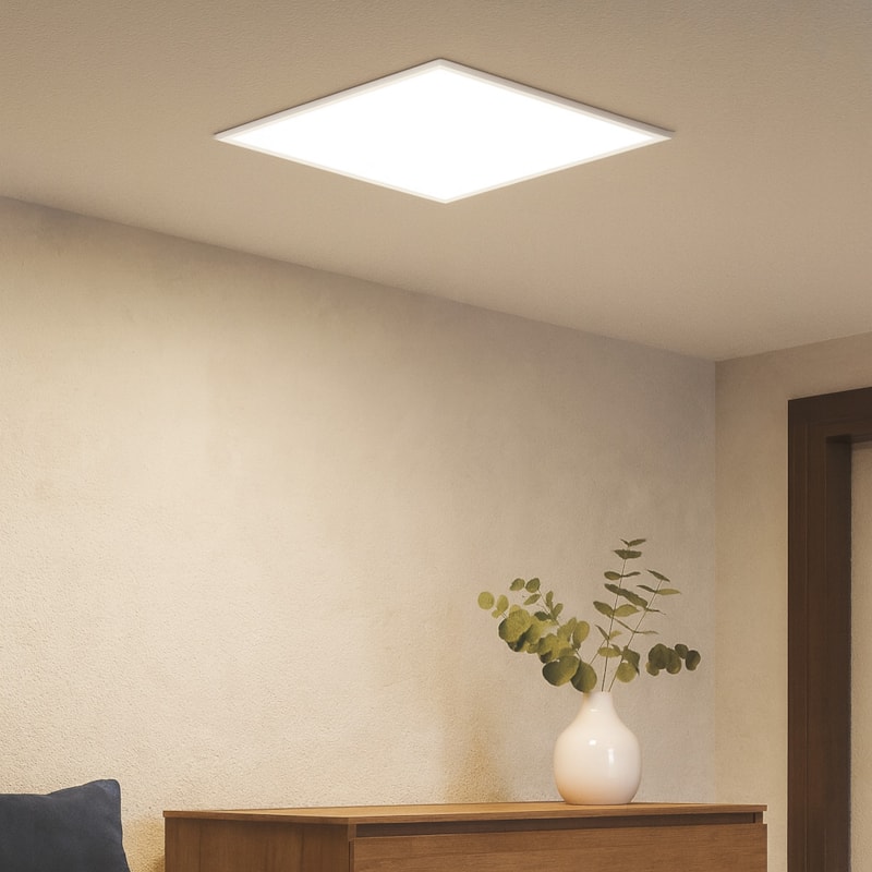 image_4a8fb905-83ca-48e1-b75e-f9974f142316