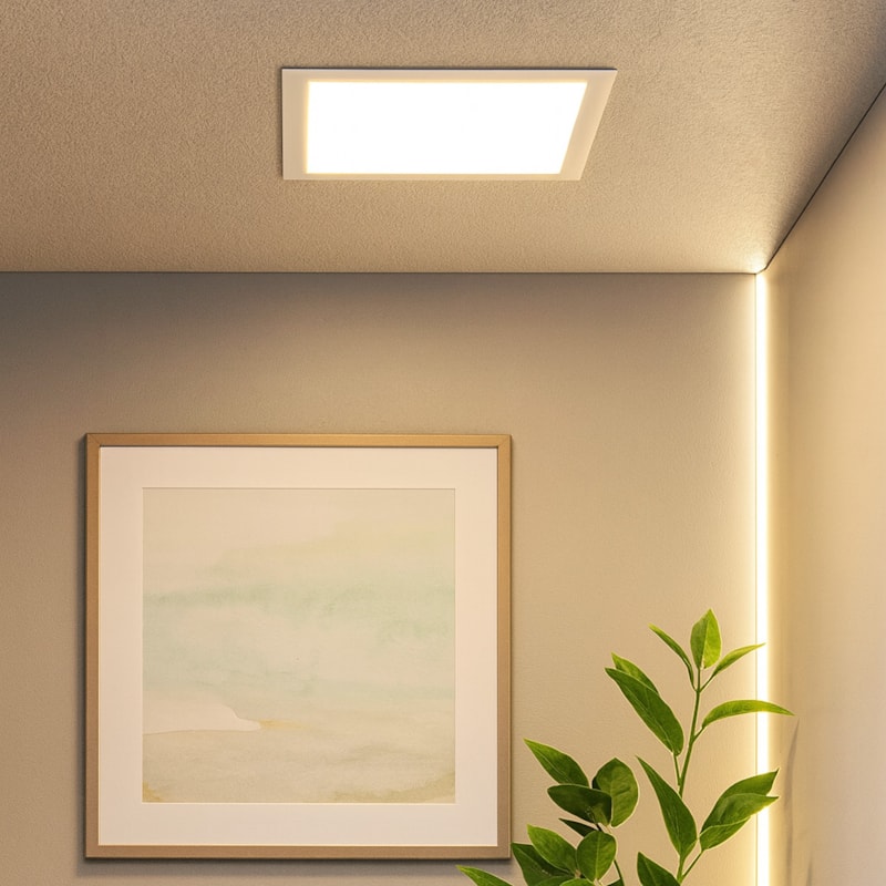 image_c55dc704-94c8-4a03-9ca4-2d72147a30b0