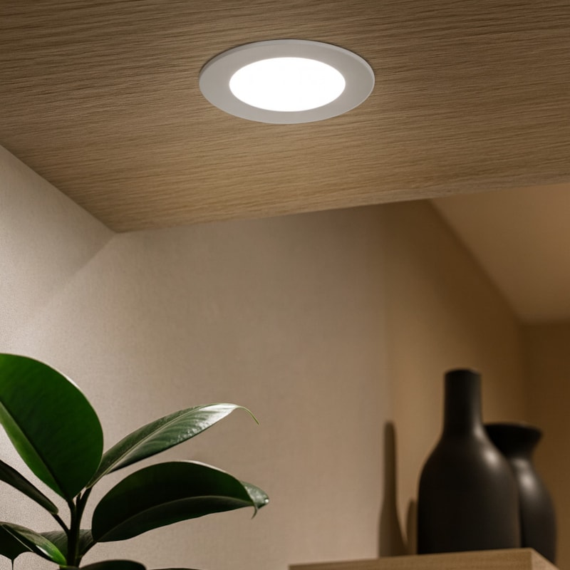 image_e1dc755c-2fe1-4841-a7fb-223c6197d671