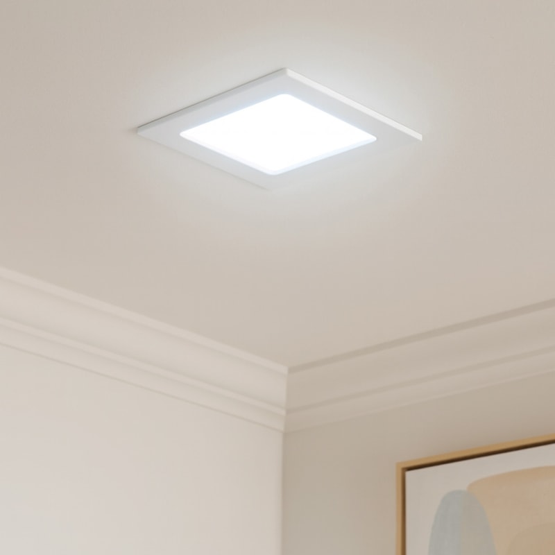 image_16bc2e42-f3cf-4456-9a48-9c4959558567