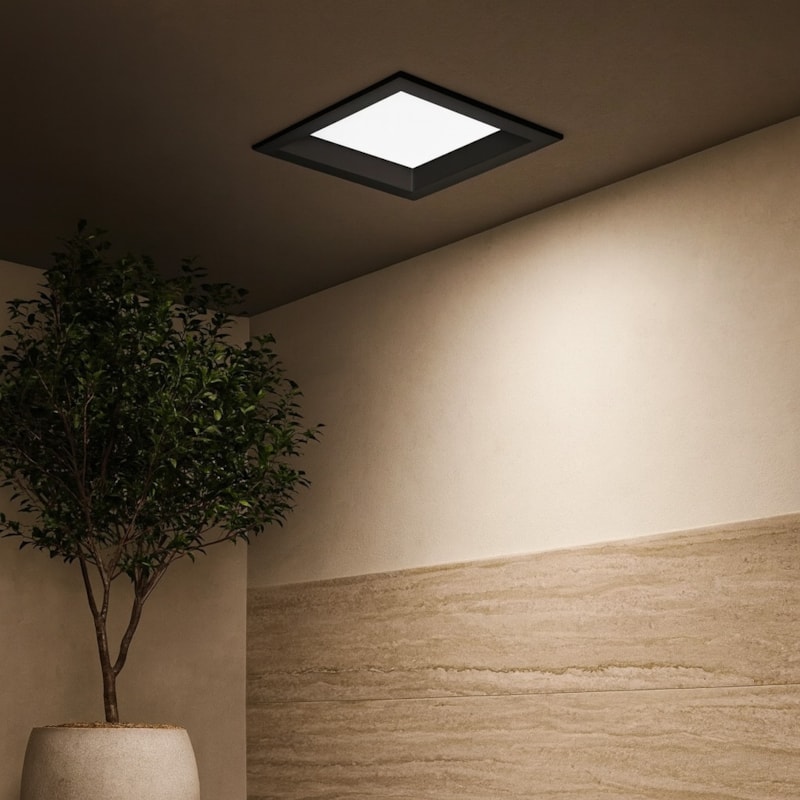 image_719c4309-6768-4179-bf69-389a78f7b3f7