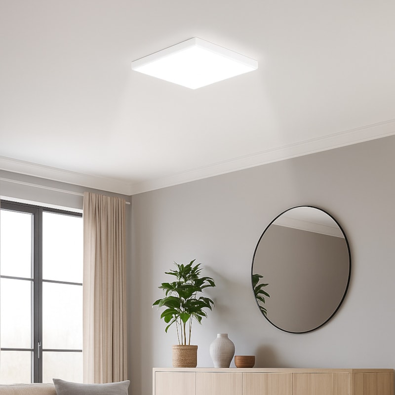 image_2b8b6533-a23f-4cce-b584-bf91d9e6ce49