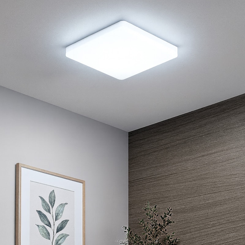 image_e47b8302-1382-425e-9101-c24fa3e23f97