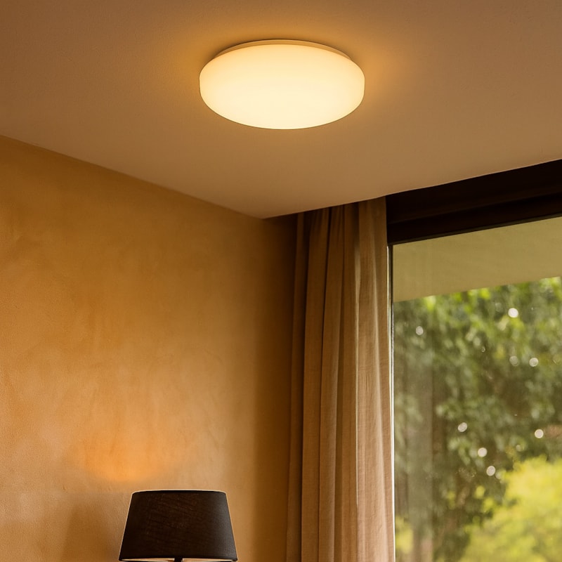 image_4c8828c3-a861-40a0-a622-214aba4ee947