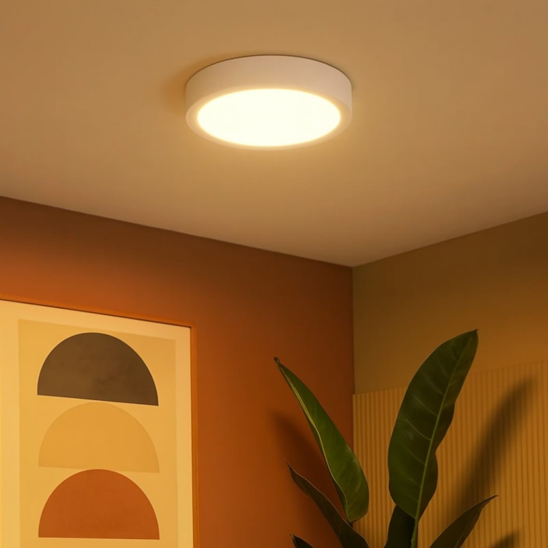 image_a0053695-bb3c-4cd4-8a5c-2ffbb982c42f