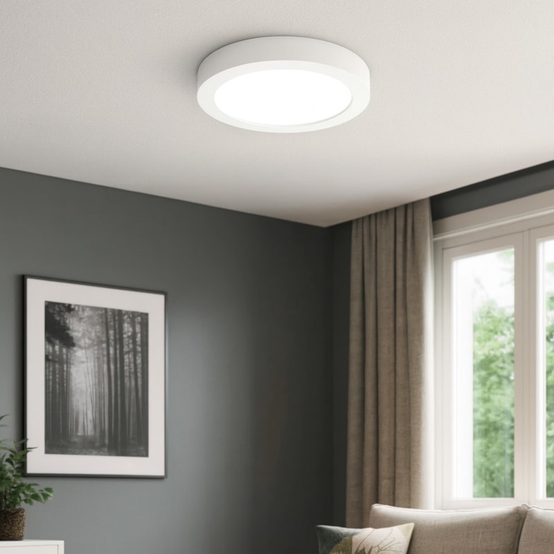 image_77296a39-2a89-45e3-9a88-d1598f8009a4