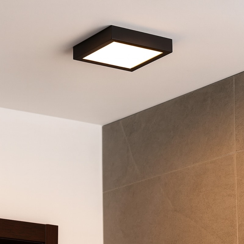 image_d2cda02b-f5e1-4e25-a3e1-a679a637515a