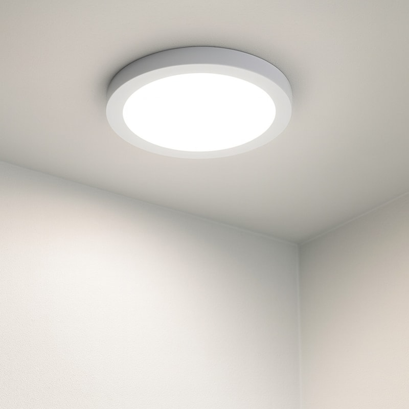 image_0d73fc5c-c3a8-4ad4-951a-50f676f4de1c