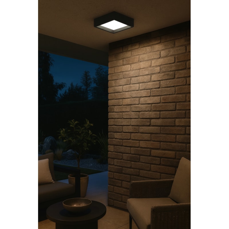 image_e6ef1fd0-dee0-451e-b811-b86b778b12c9