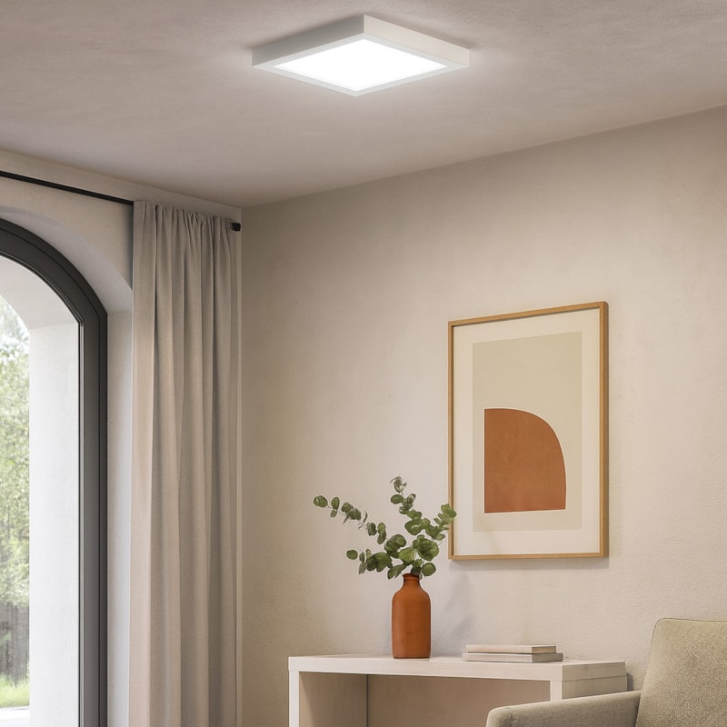 image_04c76936-30a1-4d9e-804a-527655450cdd