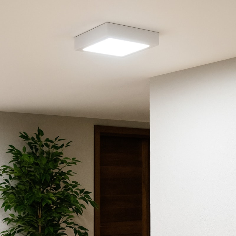 image_8390626c-77ff-4538-a16f-64f263d390d8