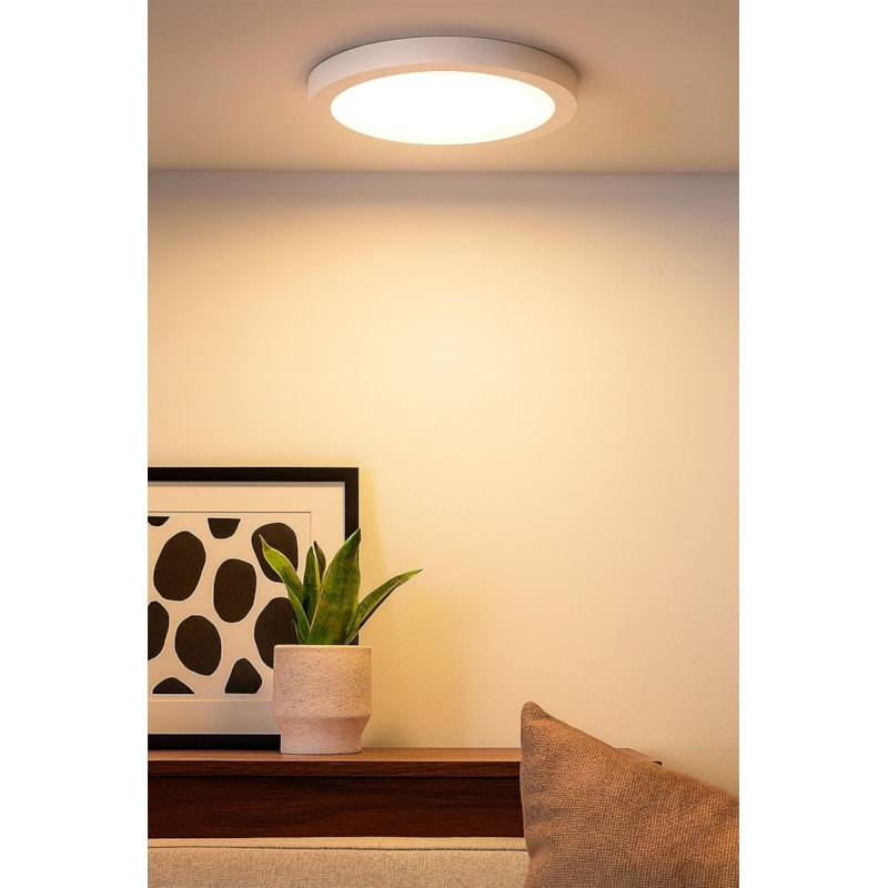 image_8c0f4ee5-aae4-4999-8f4a-be6eeda28406