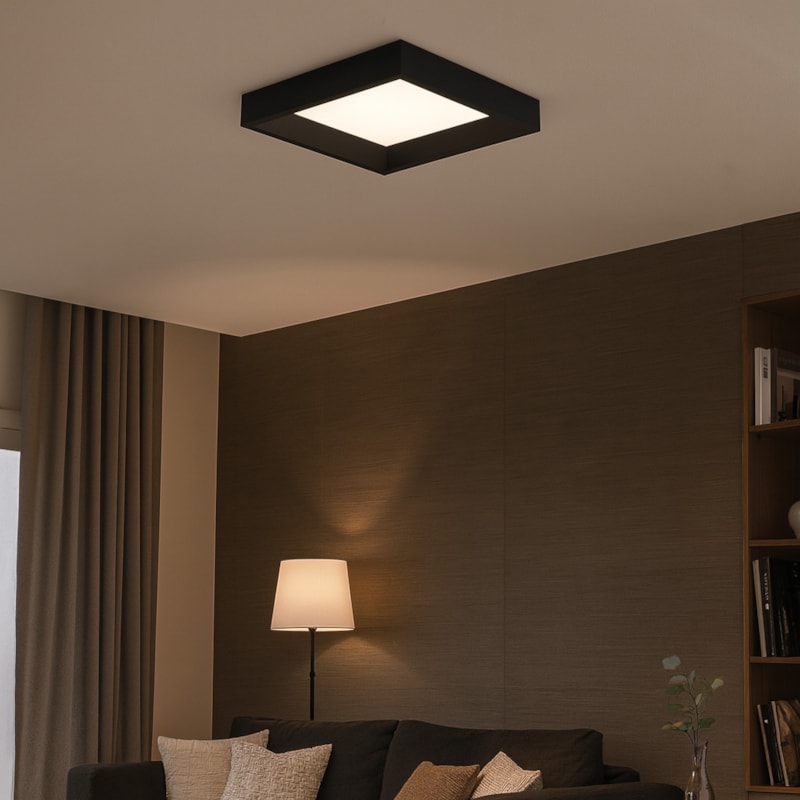 image_2ca6dedd-c1d2-4e91-a640-aadd1dad514c