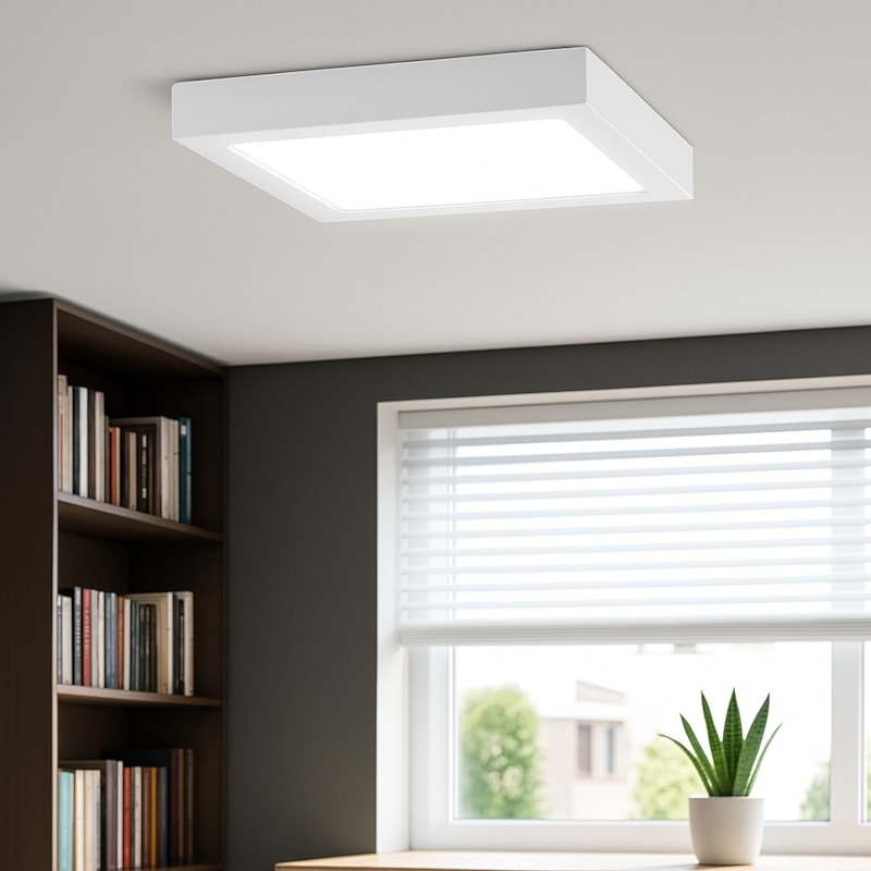 image_1f255192-515b-4eda-aab4-a94845acf4a8