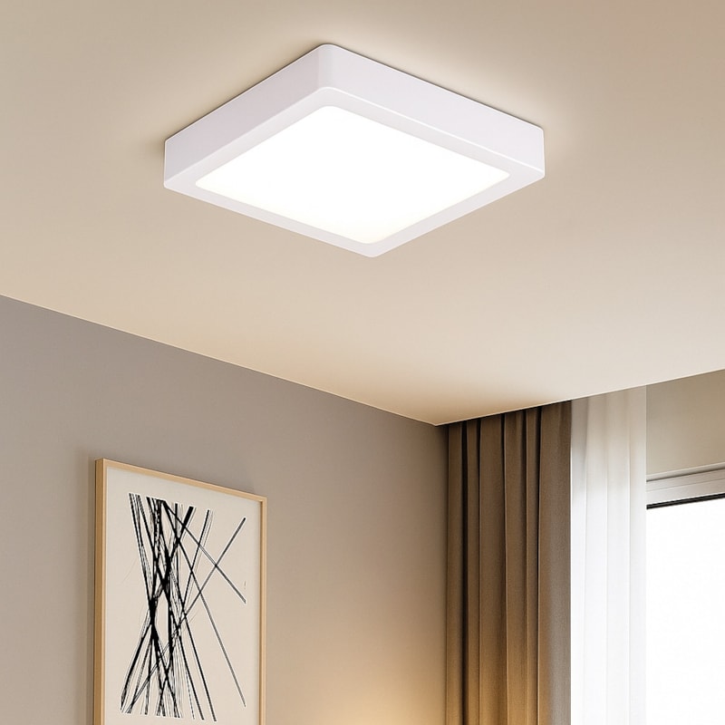 image_e1589b43-7a07-4bf1-b608-fc6ca1fe31df