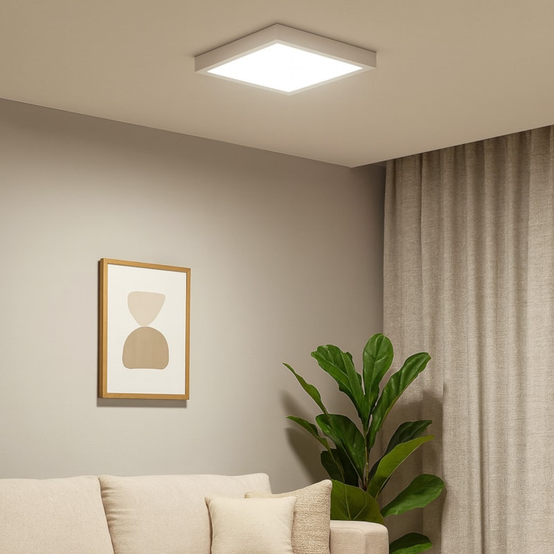 image_d194c48a-8be8-46d2-aec5-9032ca030681