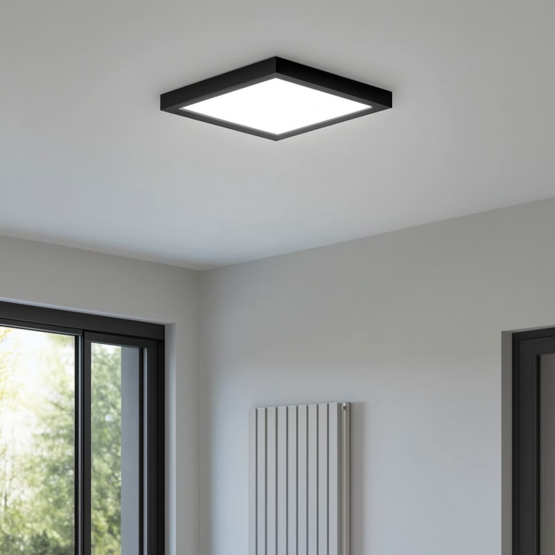 image_eec3fd73-f561-4616-950e-4070a1da2672