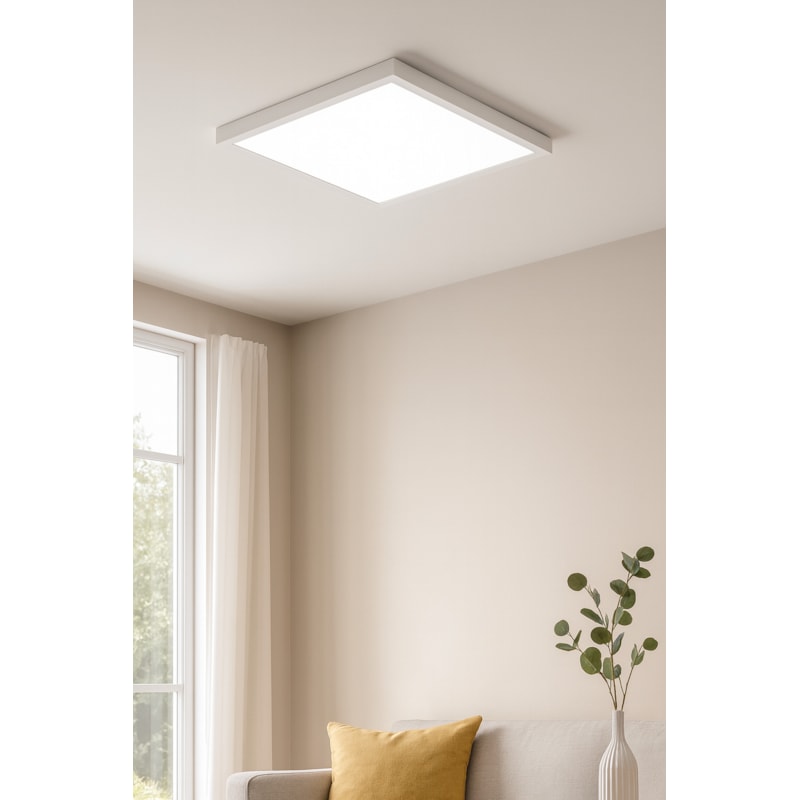 image_d43f41b8-aa2a-4384-805f-c07c2f5a5d53