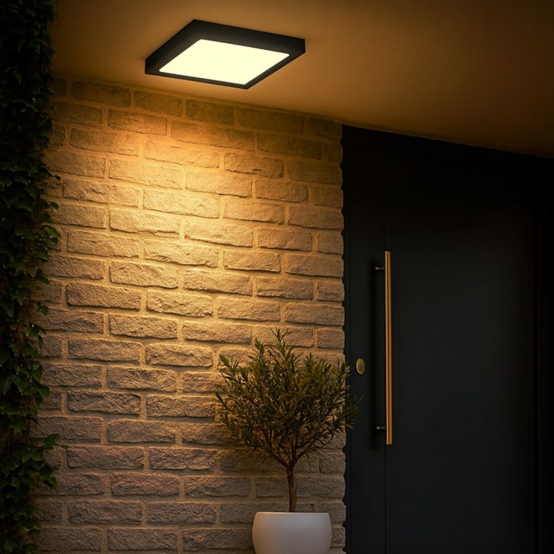 image_3fd39864-1135-4466-876d-343061f38c5a