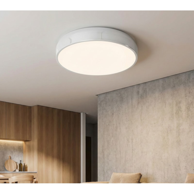 image_69c76b71-b591-4906-96eb-dd9c97f7ee15